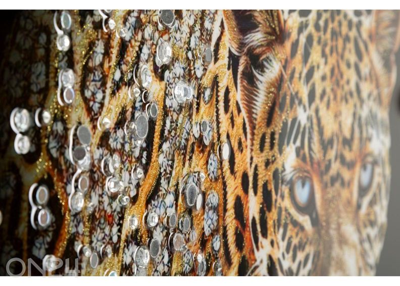 Pilt Jaguar 82x82 cm suurendatud
