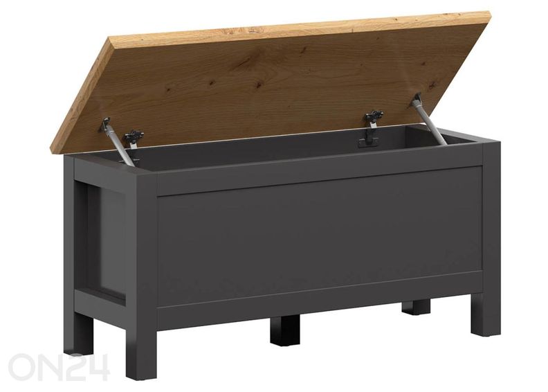 Pink Hesen suurendatud