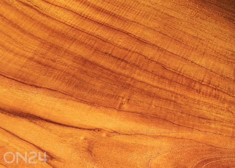 Pink Root suurendatud