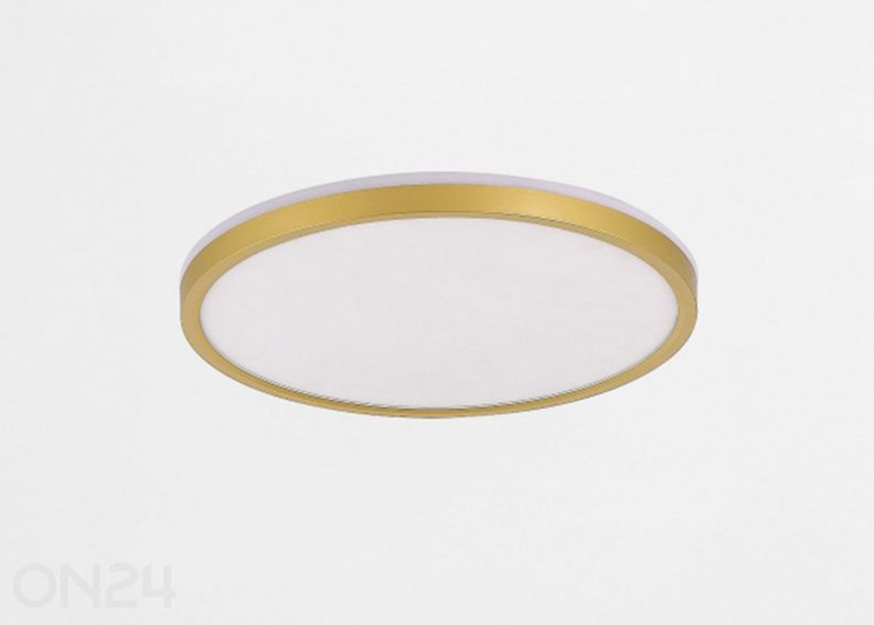 Plafoon Bove Gold 50 suurendatud