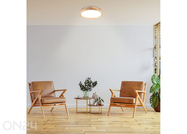 Plafoon Janus LED Ø 27 cm suurendatud