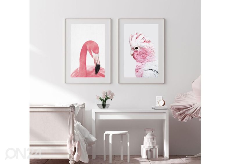 Poster Roosa kakaduu 40x50 cm suurendatud