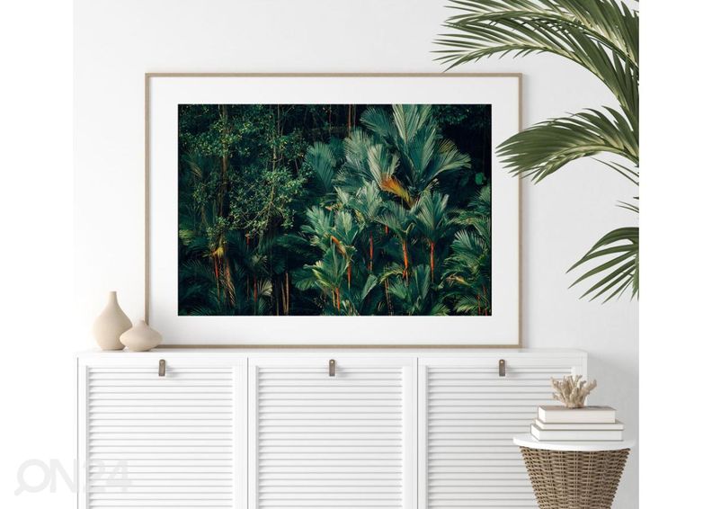 Poster Troopiline vihmamets 50x70 cm suurendatud