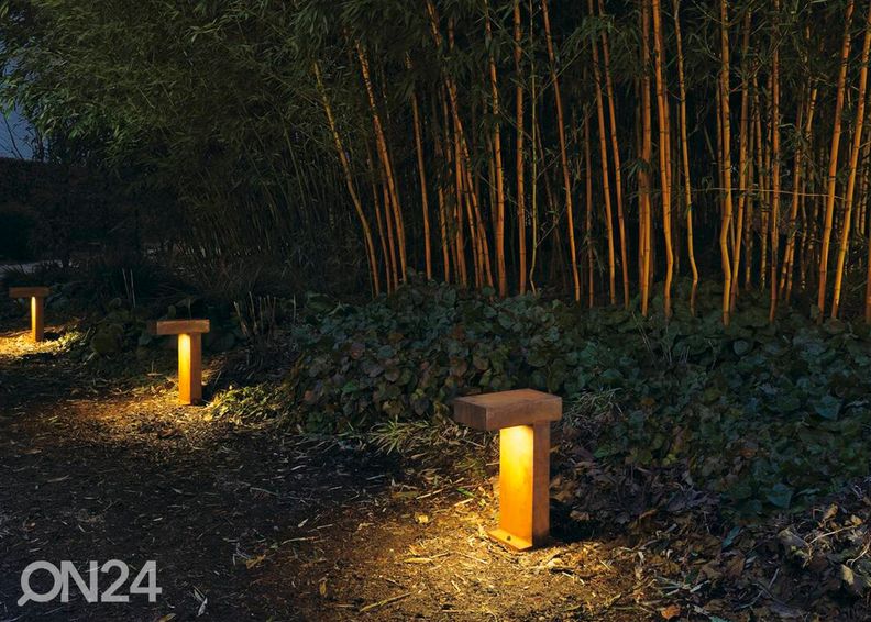 Postvalgusti Rusty 40 suurendatud