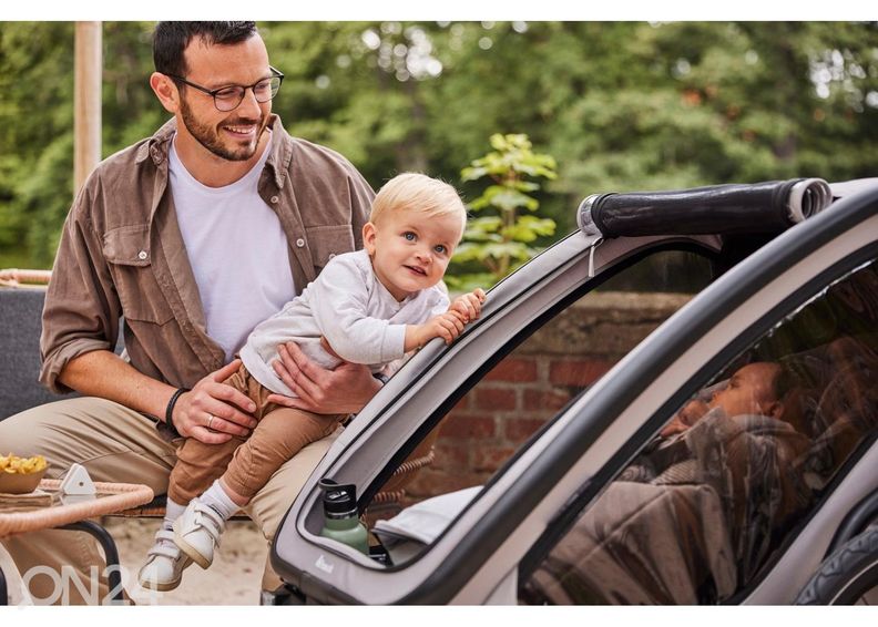 Rattakäru beebiiste Hauck Baby Lounger 2, hall suurendatud