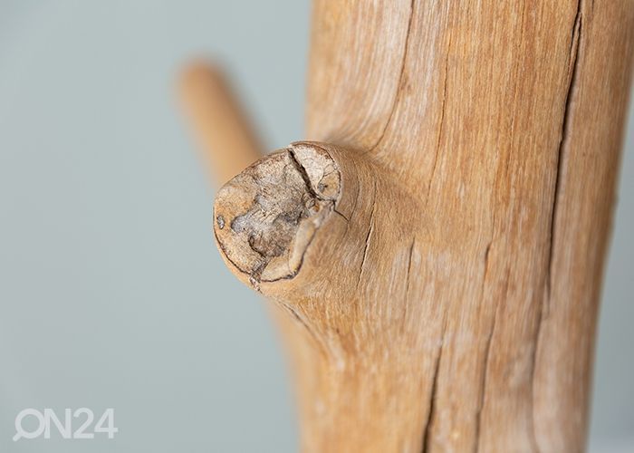 Riidenagi Tree suurendatud