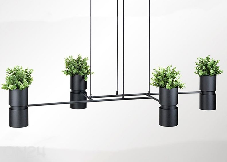 Rippvalgusti Kukkia, must suurendatud