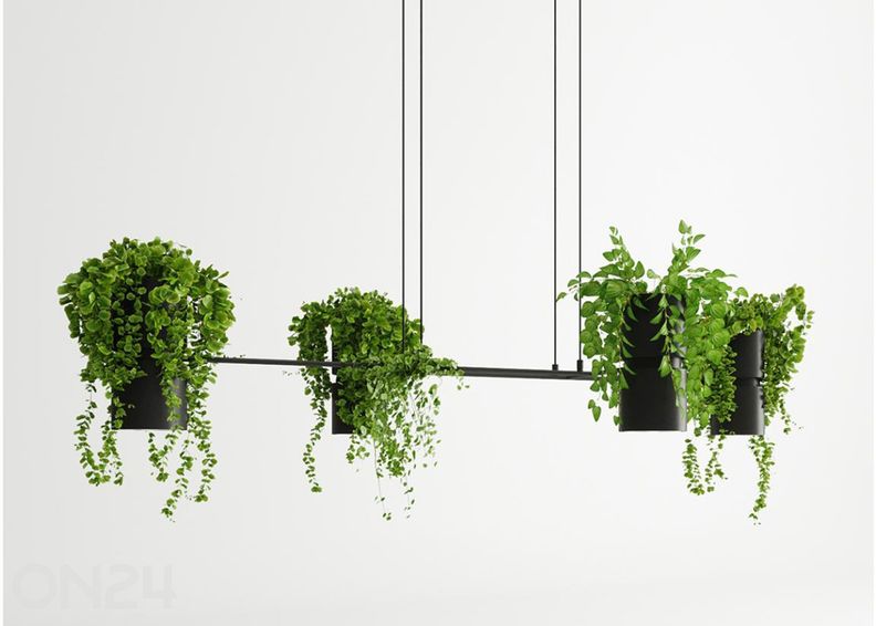 Rippvalgusti Kukkia, must suurendatud