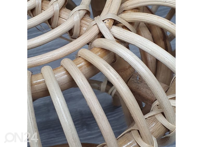 Rotangist järi Dahlia suurendatud