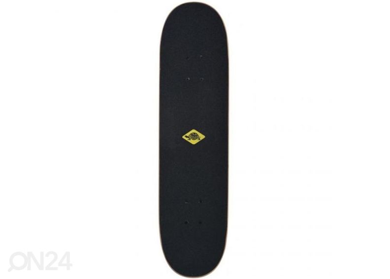 Rula Schildkrot Slider Cool King suurendatud