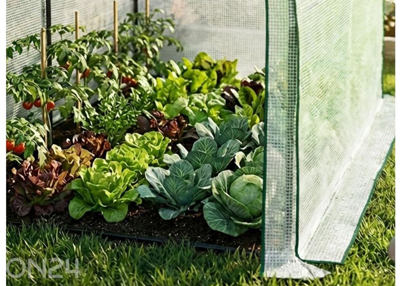 Seinakasvuhoone 2 m² suurendatud