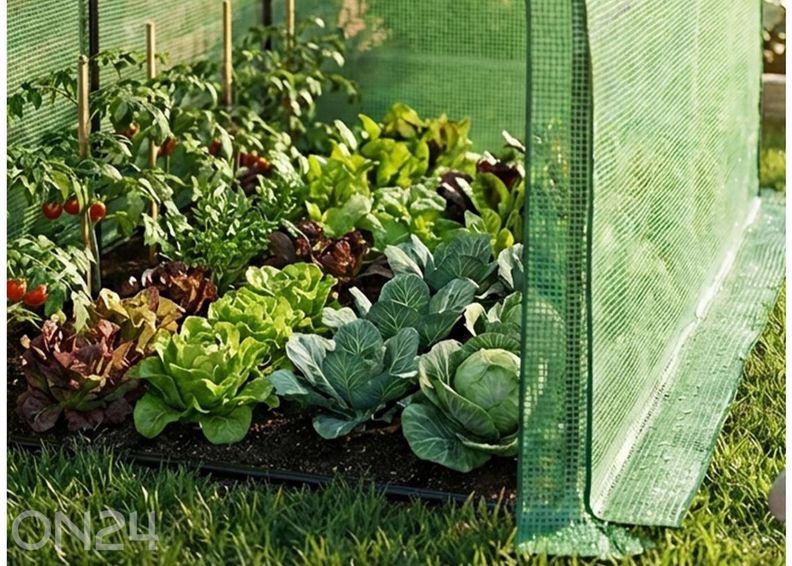 Seinakasvuhoone 2 m² suurendatud