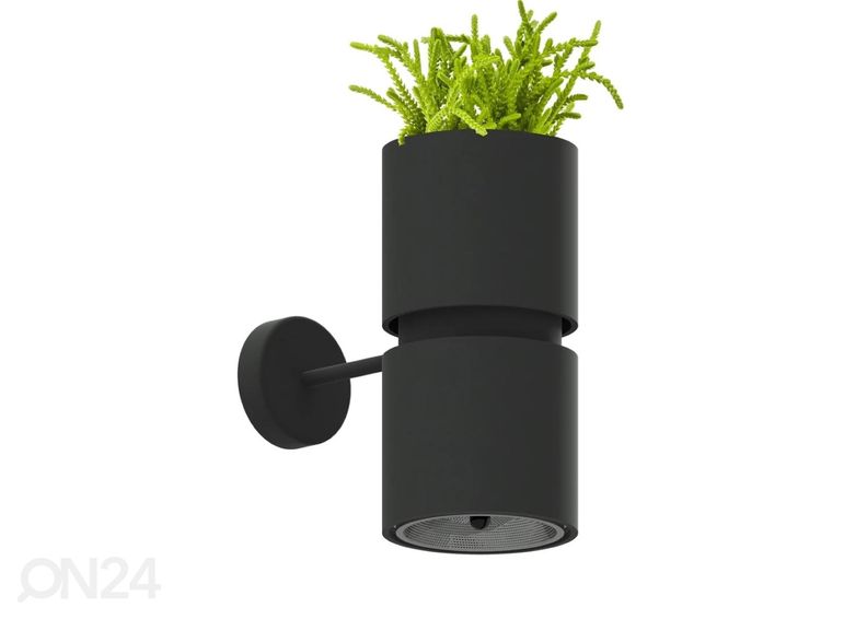 Seinalamp Kukkia, must suurendatud