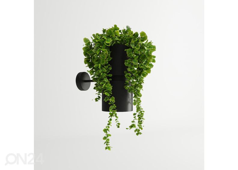 Seinalamp Kukkia, must suurendatud