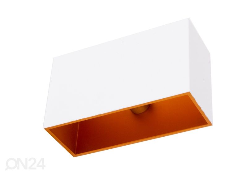 Seinavalgusti Concept suurendatud