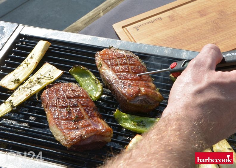 Söegrill Barbecook Karl suurendatud