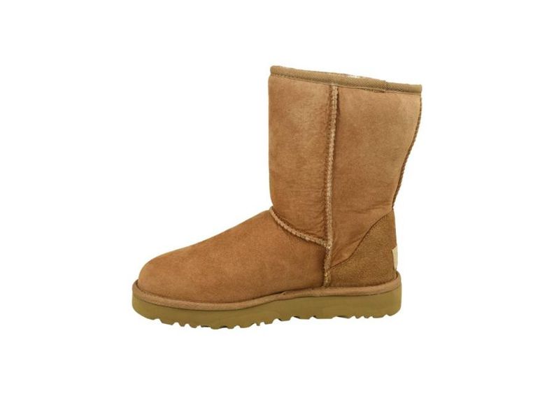 Talvesaapad naistele UGG Classic Short II W suurendatud