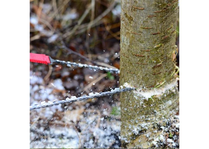 Tasku saag matkamiseks Nordic suurendatud