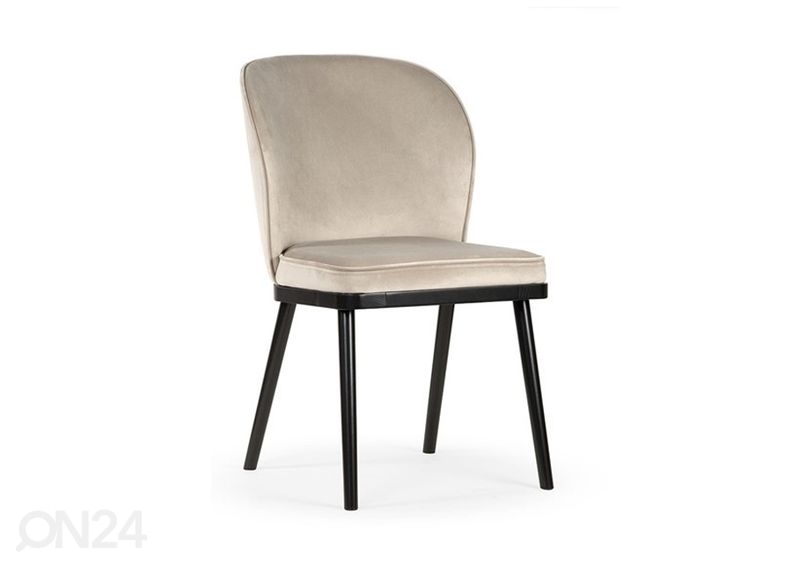 Tool Aine Pro suurendatud