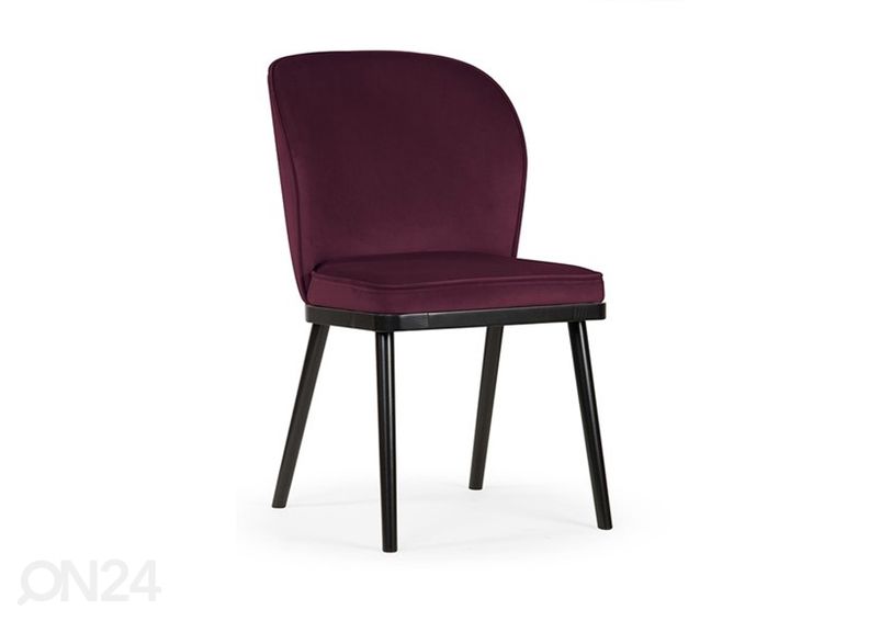 Tool Aine Pro suurendatud