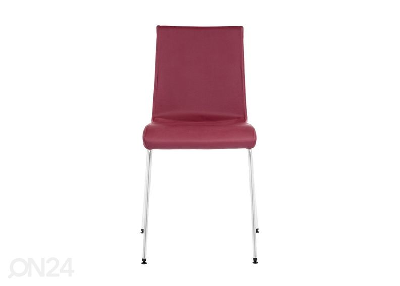 Tool Elsi suurendatud