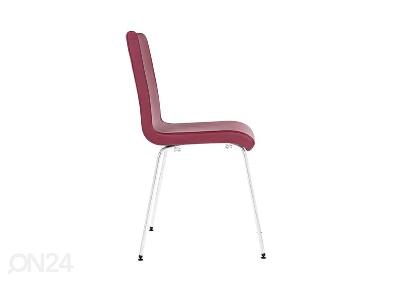 Tool Elsi suurendatud