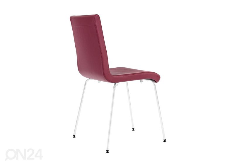 Tool Elsi suurendatud