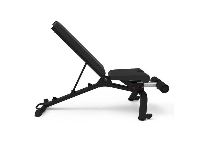 Treeningpink Bowflex 3.1S 100917 suurendatud