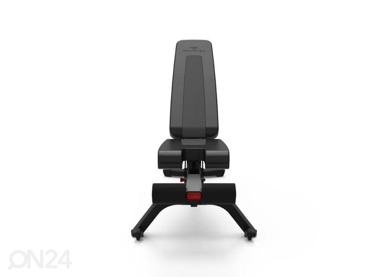 Treeningpink Bowflex 4.1S 100918 suurendatud