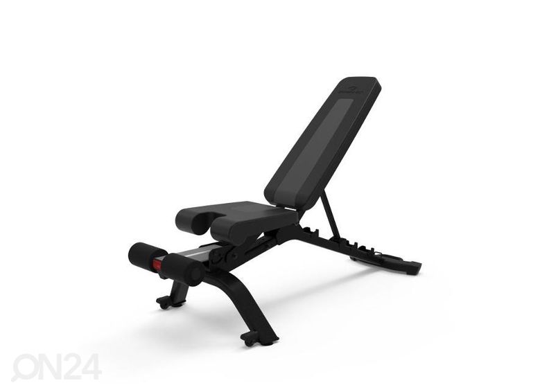 Treeningpink Bowflex 4.1S 100918 suurendatud