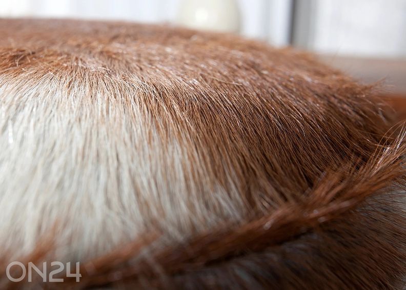 Tumba Hide suurendatud