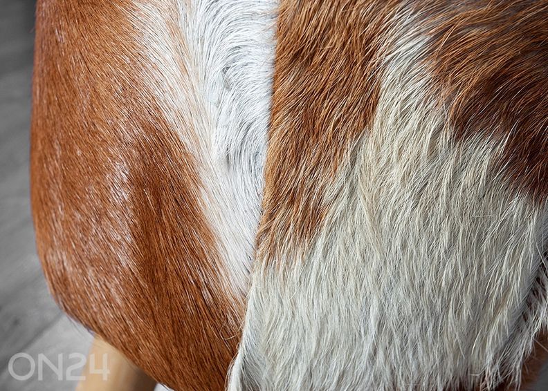 Tumba Hide suurendatud