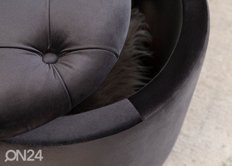 Tumba panipaigaga Modern Baroque suurendatud