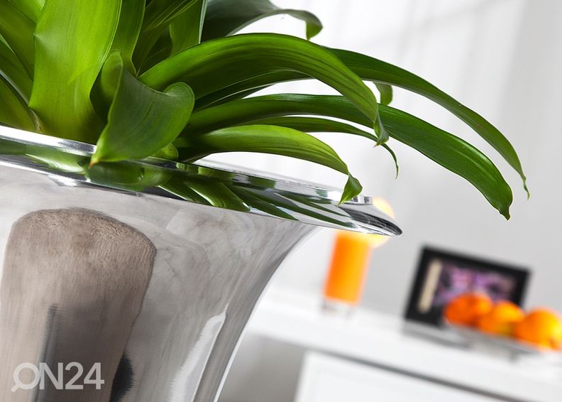 Vaas Goal suurendatud