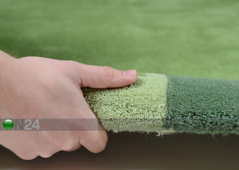 Vaip Ambadi 160x230 cm suurendatud