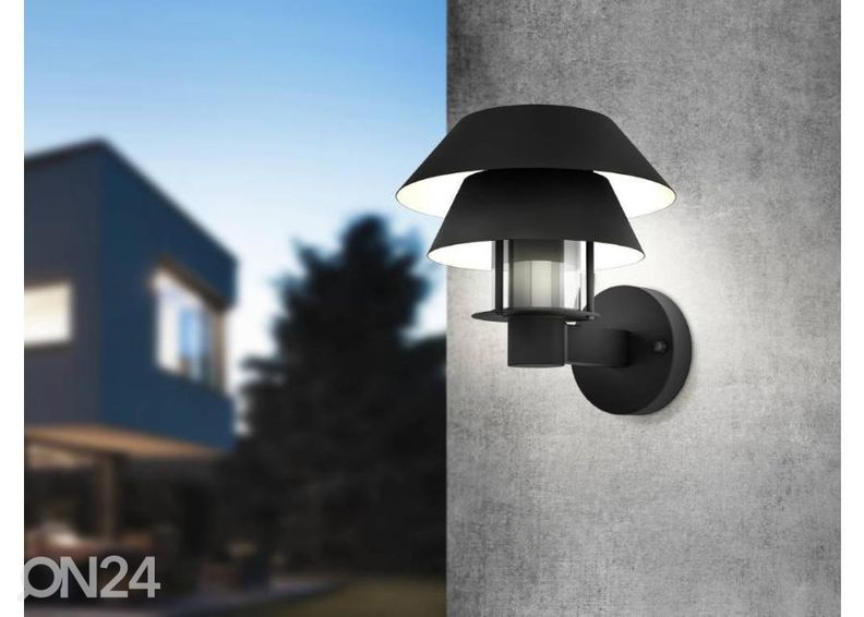 Välisvalgusti Chiappera suurendatud