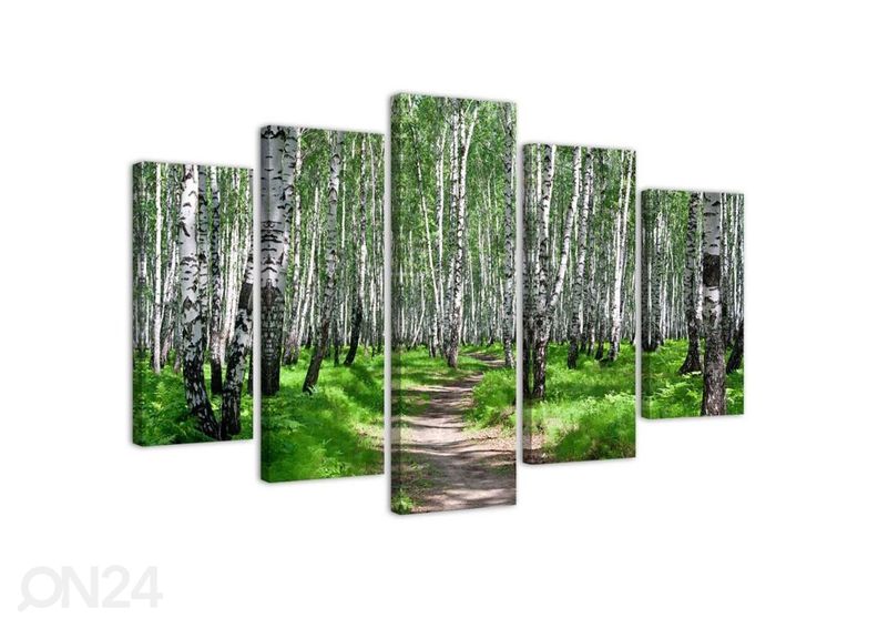 Viieosaline seinapilt Birch forest 100x70 cm suurendatud