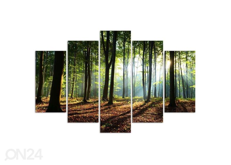 Viieosaline seinapilt Rays of the sun in the forest 150x100 cm suurendatud