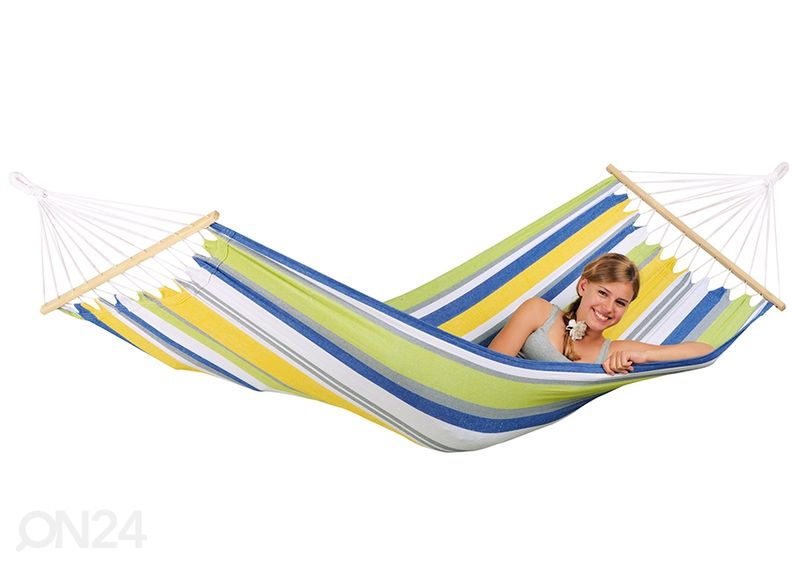 Võrkkiik Tonga kolibri suurendatud