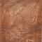 Pähkel/Walnut Pähkel/Walnut