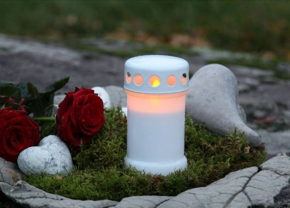 LED kalmuküünal