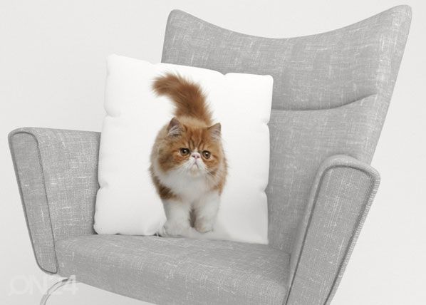 Dekoratiivpadjapüür Fluffy Cat