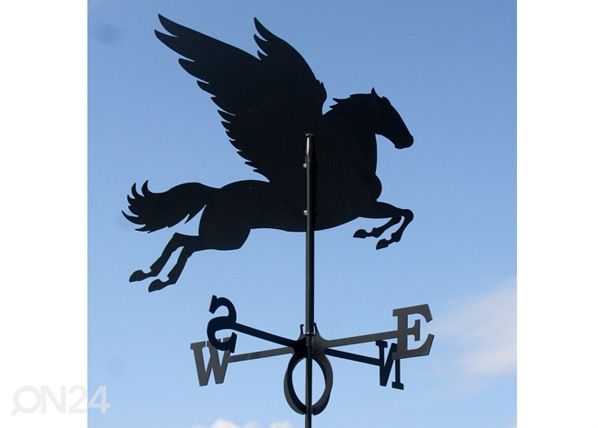 Tuulelipp Pegasus