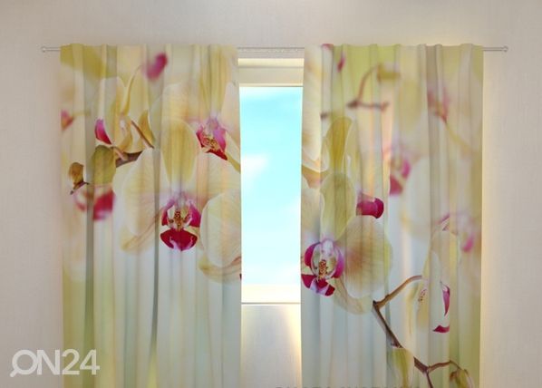 Poolpimendav kardin Goldish orchids 240x220 cm