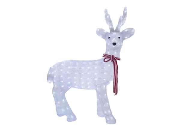 Akrüülist hirve kuju LED valgustitega