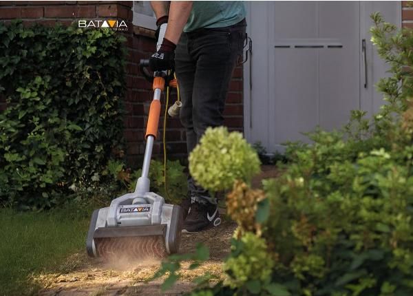 Batavia Maxxbrush 1020W puhastushari