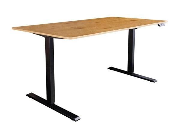 Elektriliselt reguleeritav kirjutuslaud Oak 120 cm