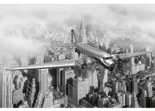 Fliis fototapeet Airplane