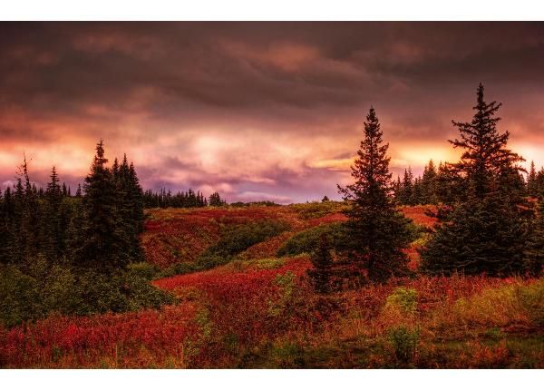 Fliis fototapeet Alaska Sunset