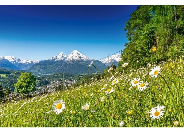 Fliis fototapeet Alpine Landscape
